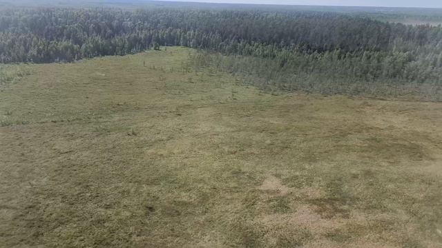 РусЛайн: перелет Екатеринбург - Белоярский на CRJ-100 | Trip Report | RusLine | Russia