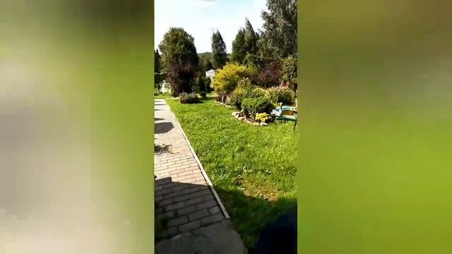 Сумасшедший дед поймал меня смотреть онлайн