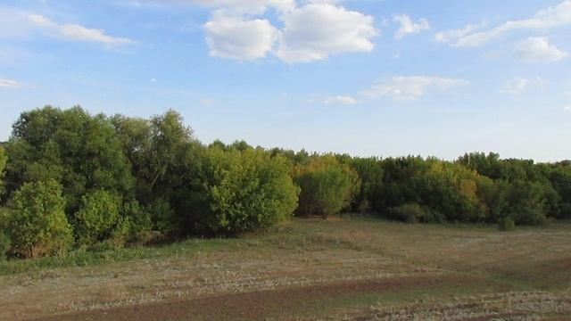 Исчезнувший посёлок Сухая Лука, Базарно-Карабулакский район (панорама).