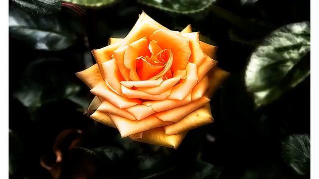 Канал хороших русских клипов с тв в хорошем качестве смотреть онлайн