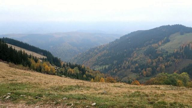 Кострича 2018 осінь смотреть онлайн