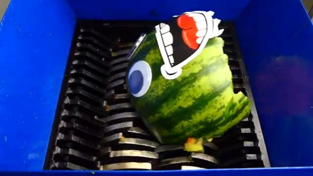 Арбуз против измельчителя !!! смотреть онлайн