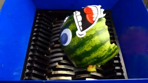 Арбуз против измельчителя !!!