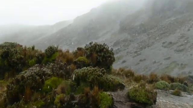 Подъём на Каямбэ. смотреть онлайн