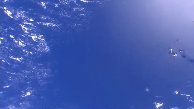 6/12/15 (5- УЛЫБАЮЩИЙСЯ КИТ-ВЕСЕЛЬЧАК)