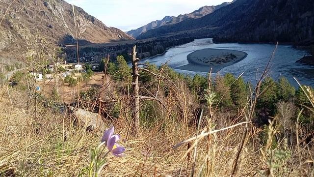 Massage For Your Soul. Session 1. Видео Relax. массаж для вашей Души. сеанс 1.