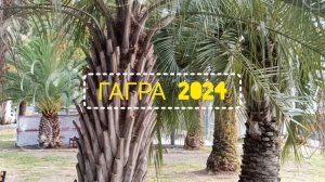 С ДОБРЫМ УТРОМ И ХОРОШИМ ДНЁМ! ПУСТЬ ВАМ ПОВЕЗЁТ В ЛЮБВИ!