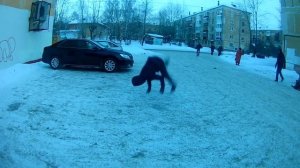 ПАРКУР ФЕЙЛЫ 2019 ЖЕСТКИЕ ПАДЕНИЯ И НЕУДАЧИ