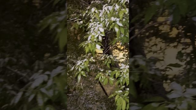 Типичная майская Москва ❄️🤦♀️ смотреть онлайн