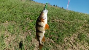 «Жизнь на пенсии».. 1 МАЯ - Хроника дня!!!