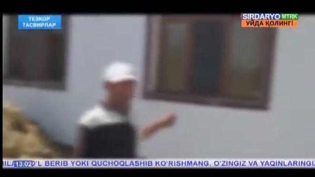 Янгиер шаҳрида яна бир ўғирлик жинояти содир этилди