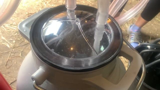 Купила доильный аппарат для коровы. Как пользоваться доильным аппаратом?