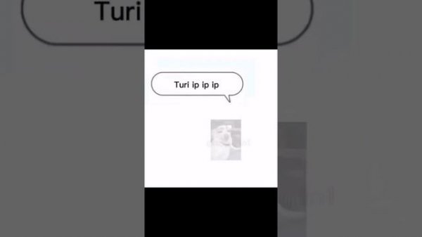 Turi ip ip ip 1 час