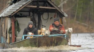 Пушистая банда едет на Келлог. Охотимся на гуся, ловим рыбу, добыли большого и сердитого хомячка.