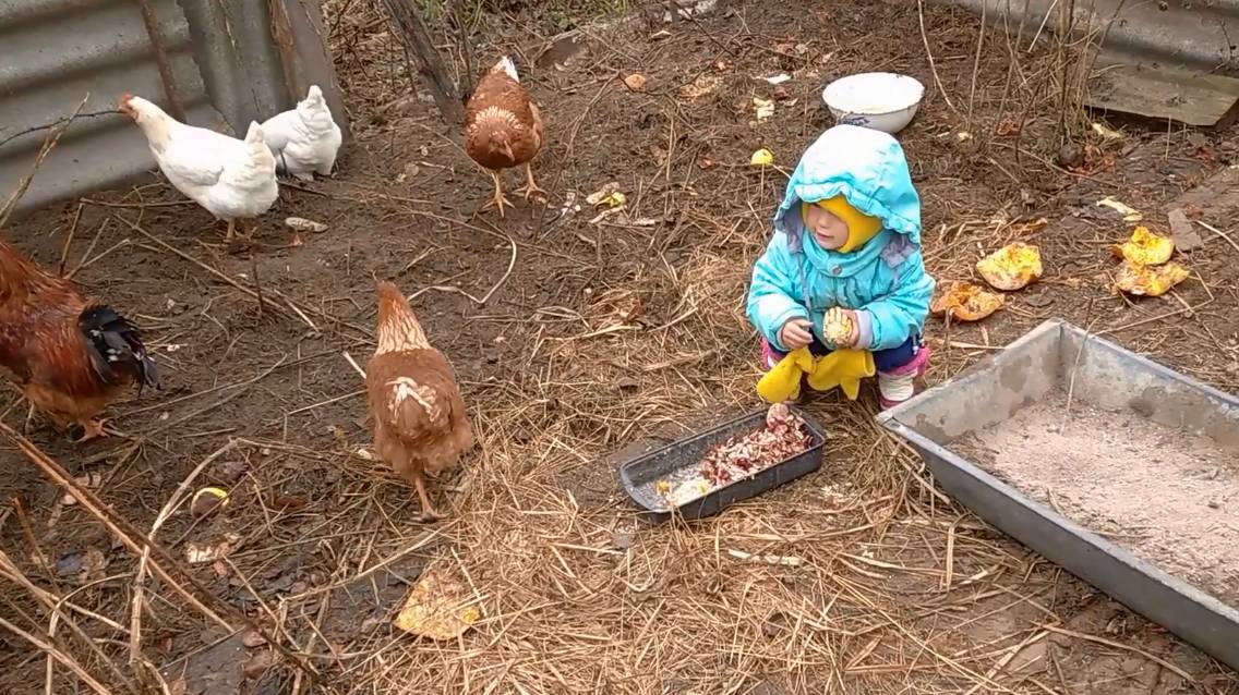🐓Учимся ЖИТЬ В ДЕРЕВНЕ | Купили курочек (2 серия) || Ежевичный сад