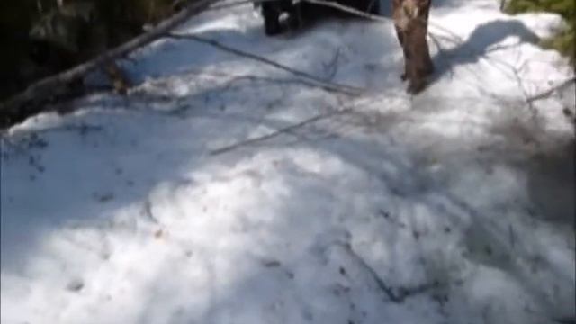 Удар топором по ноге FISKARS Саморуб Kick axe foot horror FAIL смотреть онлайн