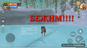WildCraft НУБИК ВЫЗВАЛ Ibeta125?! 😱