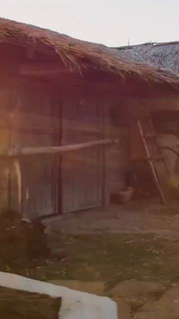 Братья и сестры, выставка на ВДНХ, павильон 75 представляет Ростовскую Область ♥️ #вольныйдон #вднх смотреть онлайн