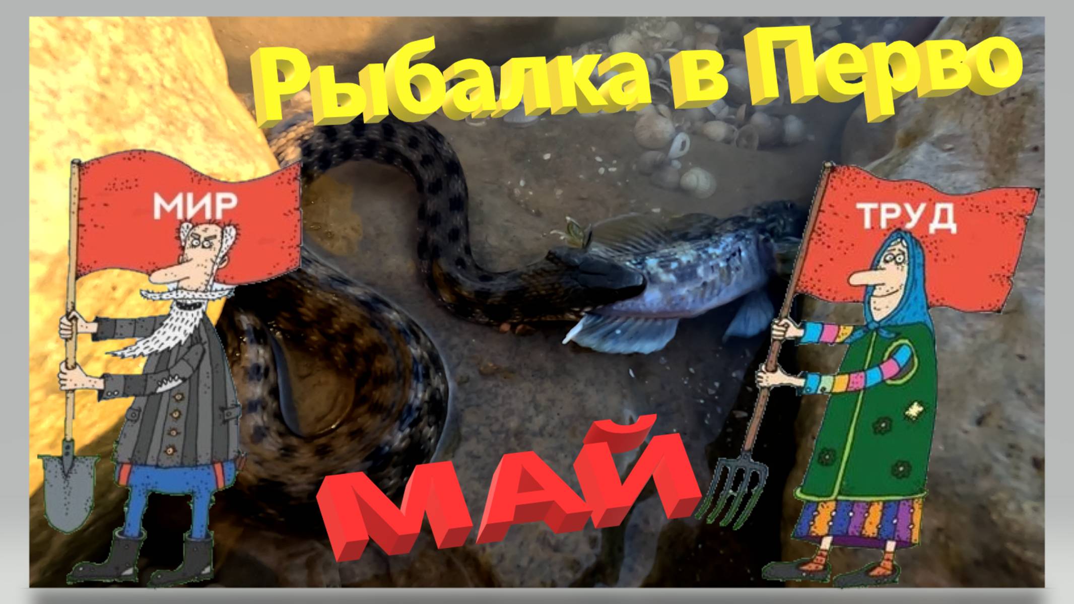 Рыбалка в Первомай. Ейский лиман. Начало рыболовного сезона. Что с таранью? Ейск. Азовские рептилии смотреть онлайн