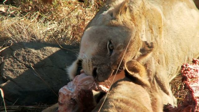 Осенний поход