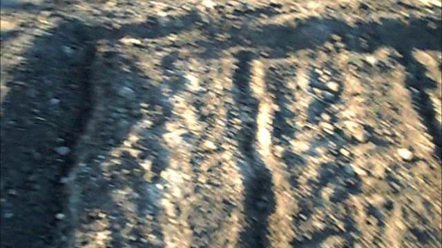 Сею свеклу и пастернак