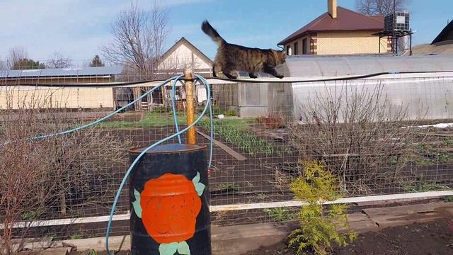 Как всегда про Люську и про нас!🤗 смотреть онлайн