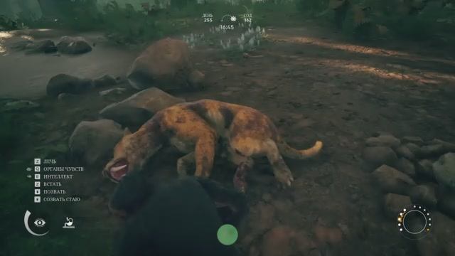 2025 ancestors #9 подготовка к переселению