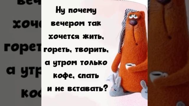 #shorts - Позитивный настрой проснись и всех построй ! смотреть онлайн