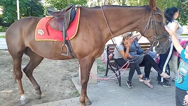 VLOG: Сходили в парк🎢// Покатались верхом на лошадях🏇//Поели суши 🍣 смотреть онлайн