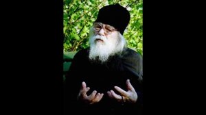 Архимандрит Иоанн Крестьянкин Почему, зачем она, эта бесконечно прискорбная