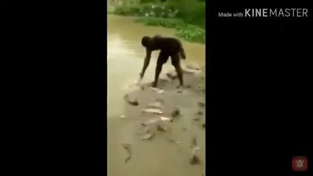 Рыбалка. Приколы 2019 смотреть онлайн