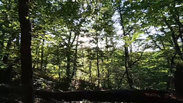 Горячий ключ сегодня