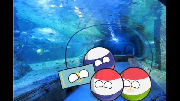 Школа контриболз страны 4 эпизод все сезоны | Секретная сцена #capcut #contryballs #страны #школа.