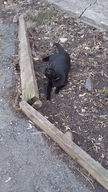 Не захотела сниматься🫣