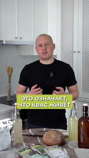 ГЛАВНЫЕ ПРИЗНАКИ брожения квас! #квас #напиток #закваска смотреть онлайн