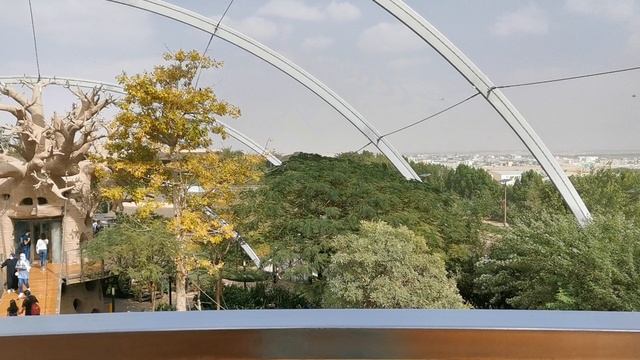 Дом птиц в Сафари парке Дубая