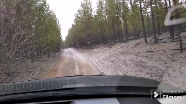 Закрытие охотнечьего сезона 2024-2025г.mp4 смотреть онлайн