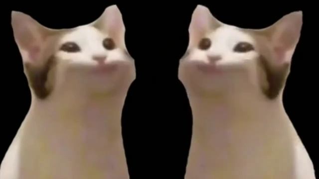 всем шизы за мой счёт смотреть онлайн