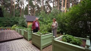 Маленький сад, где есть всё