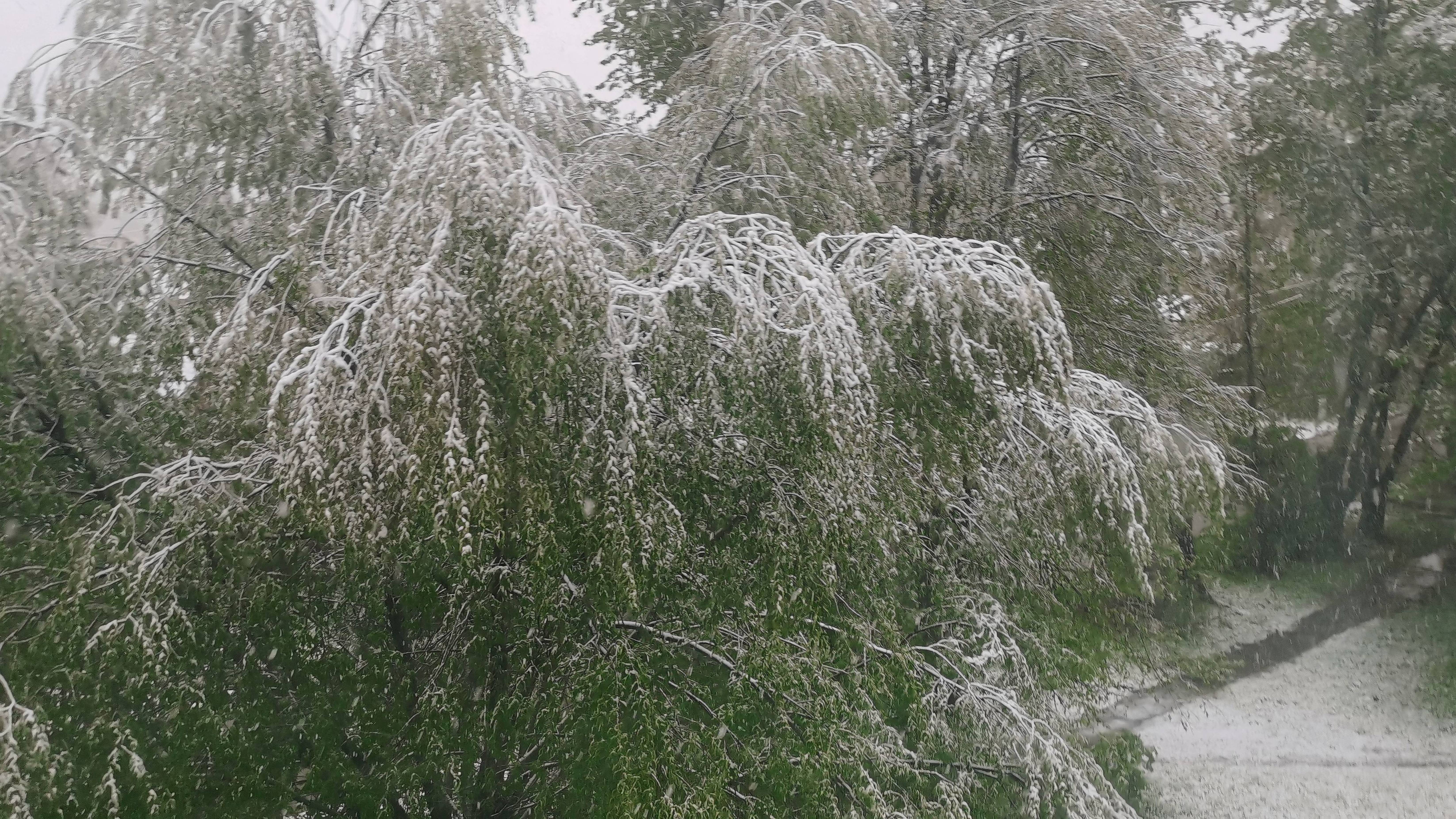 Снег у дома 2 Мая 2025