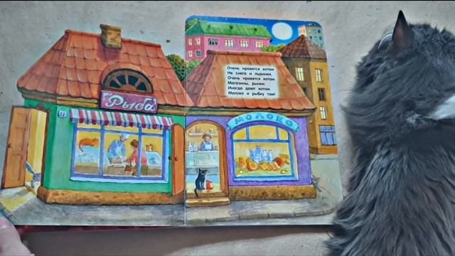 Видео обзор прогулки по книжке - игрушке "Где живут коты" от издательства Лабиринт Пресс HD смотреть онлайн