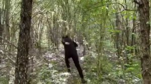 страшный лес 2 часть клоун в лесу.