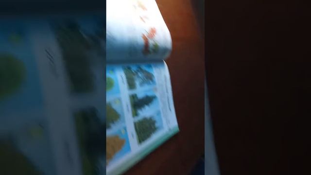 Рисунки с первого класса смотреть онлайн