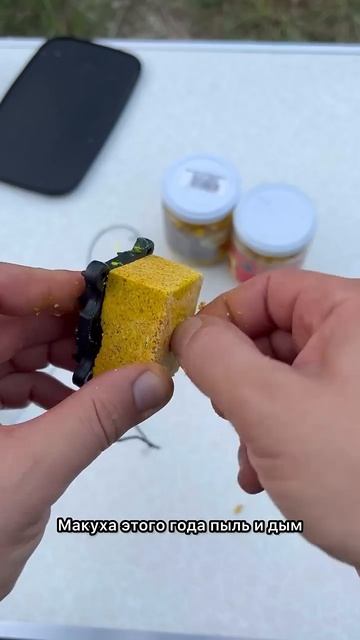 Оснастка на толстолобика со дна