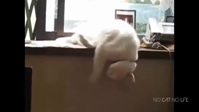Смешные падения! СМЕШНЫЕ НЕУДАЧИ! ТП! Лучшие приколы! Приколы над людьми! 314 смотреть онлайн