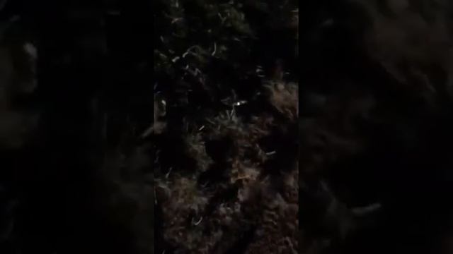 Солдат спит, служба идёт смотреть онлайн