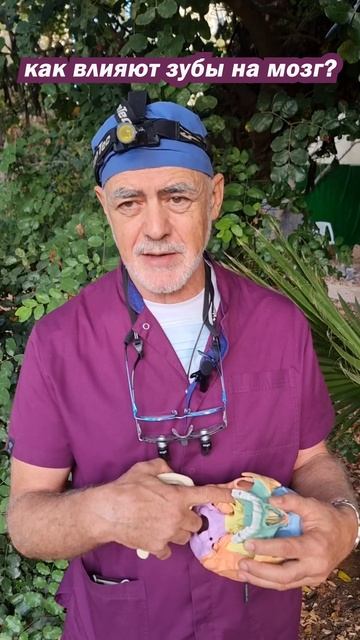 Как влияют зубы на мозг смотреть онлайн