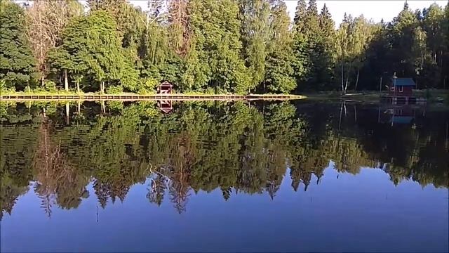 Утренний обзор с нижнего водоёма. Клёвое место, Лосиный остров.