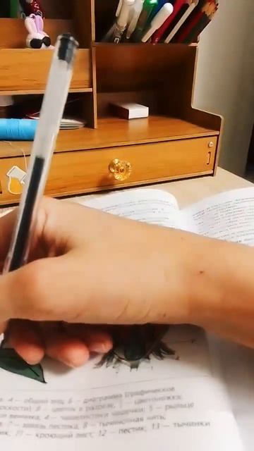 стикеры для работы и учёбы ✨😉 смотреть онлайн