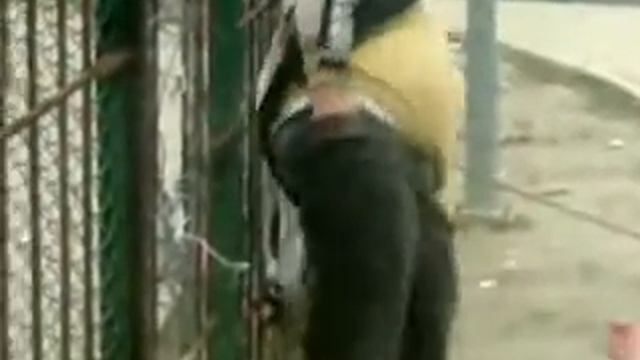 Ну как можно так нажраться смотреть онлайн